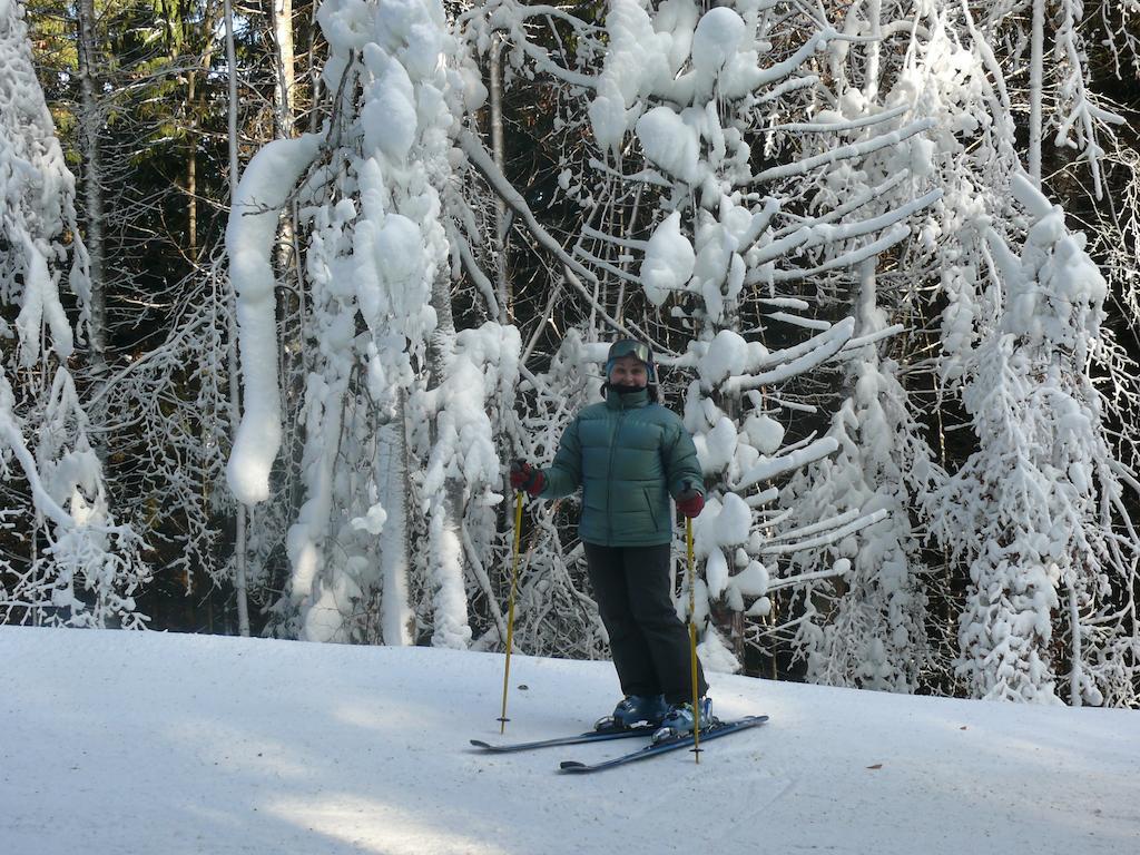 Chalet Truten Ворохта Екстер'єр фото